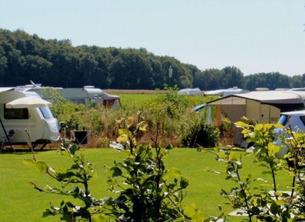 Camping Roderveld — Photo 3