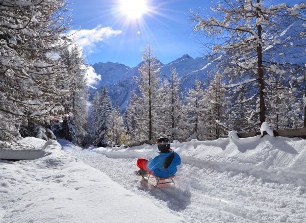 Zops Winter — Photo 2