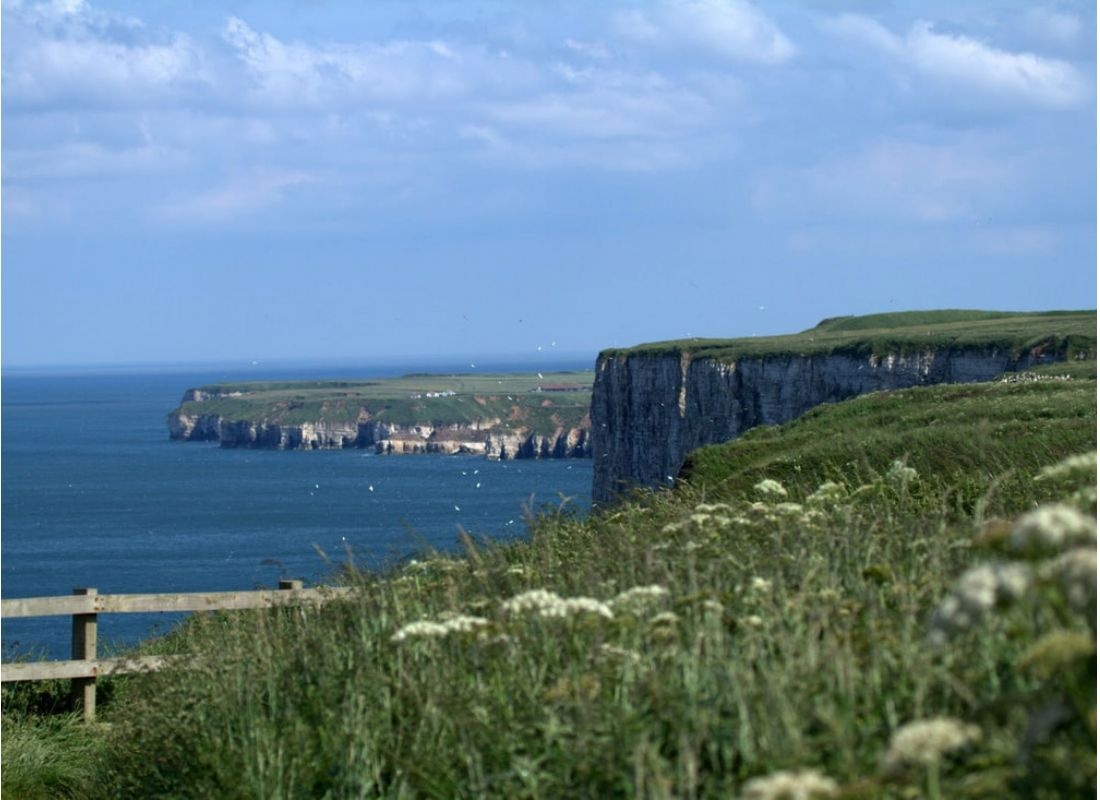 Wold Farm Caravan and Camping Site — Campingplatz in Flamborough