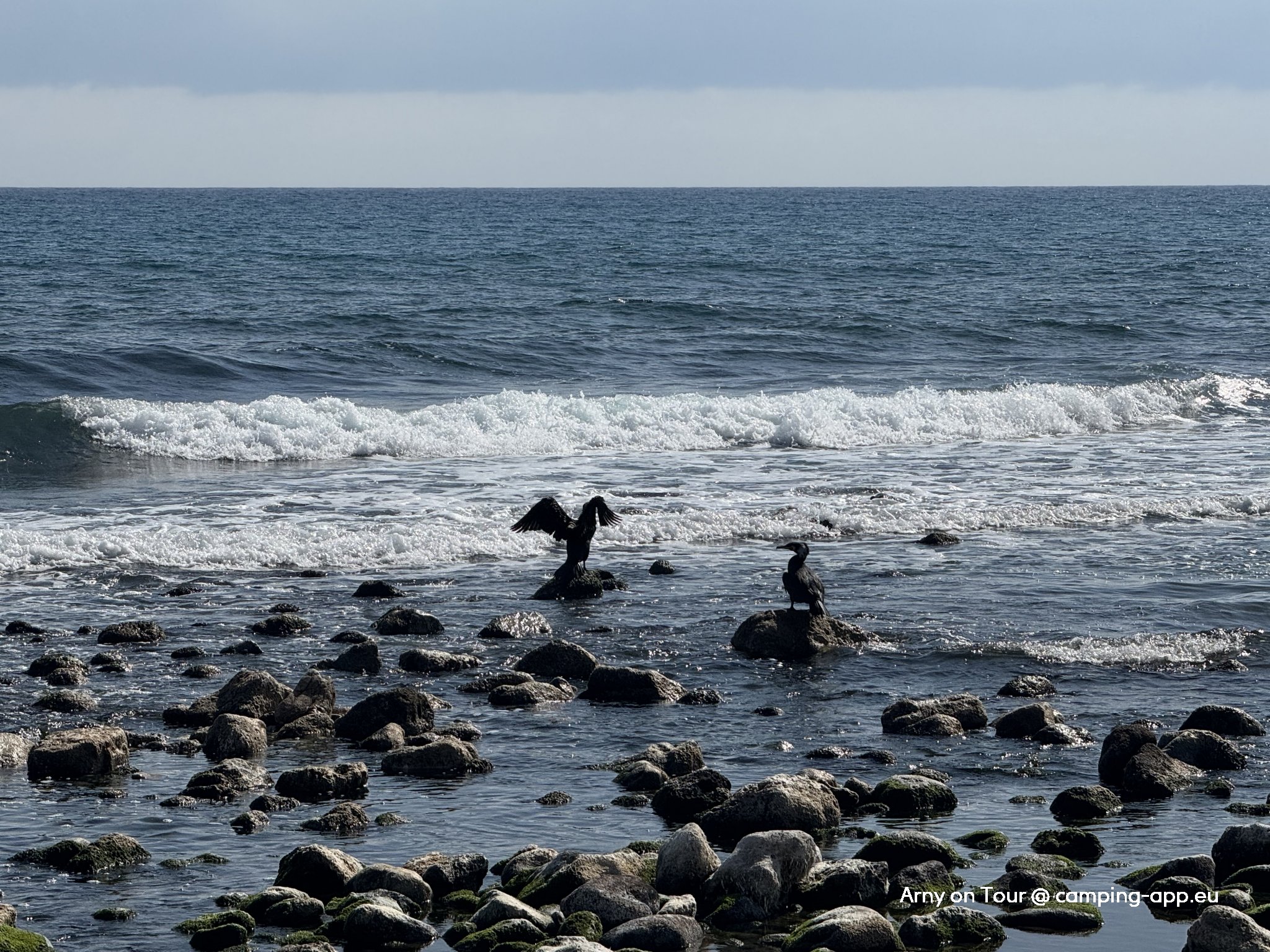 Area Natur Playa Muchavista — Foto 3