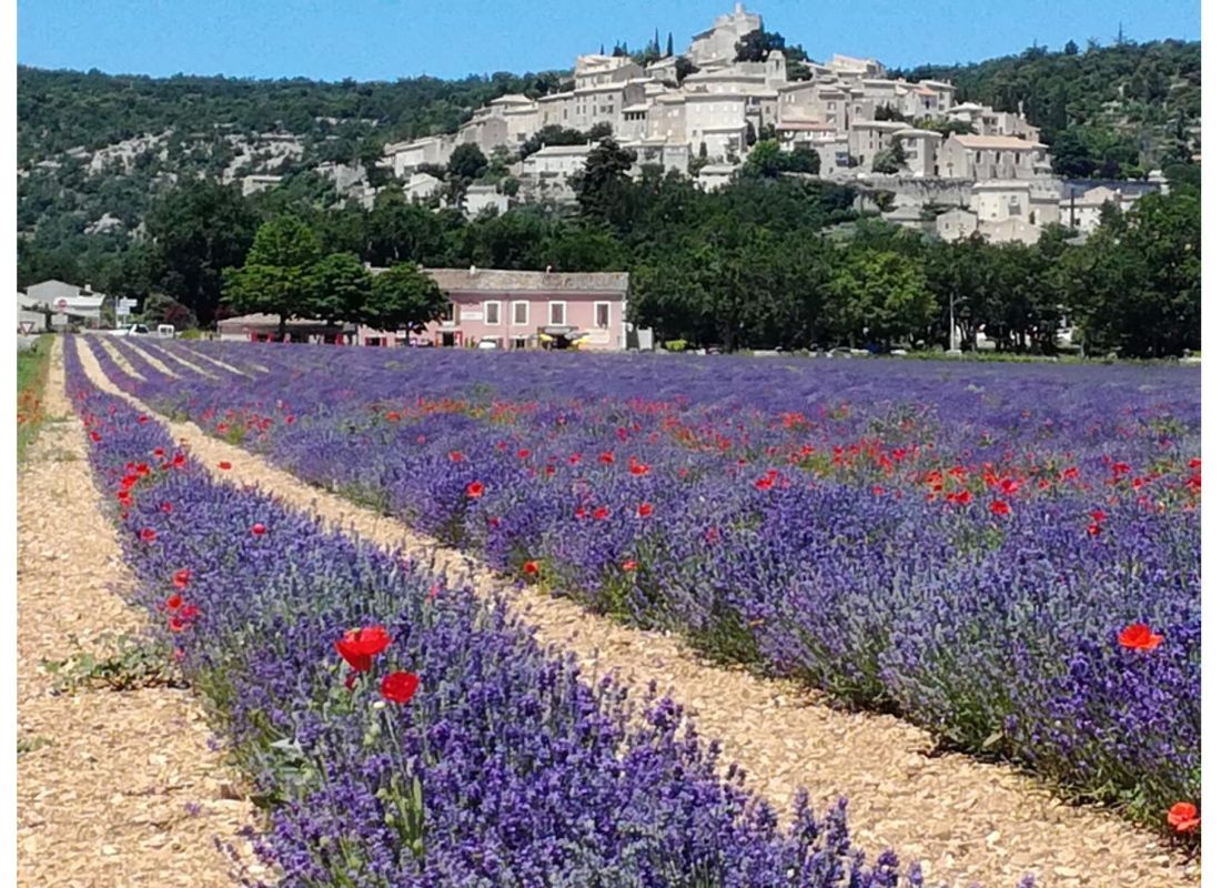 Camping de Valsaintes — Stellplatz in Simiane-la-Rotonde