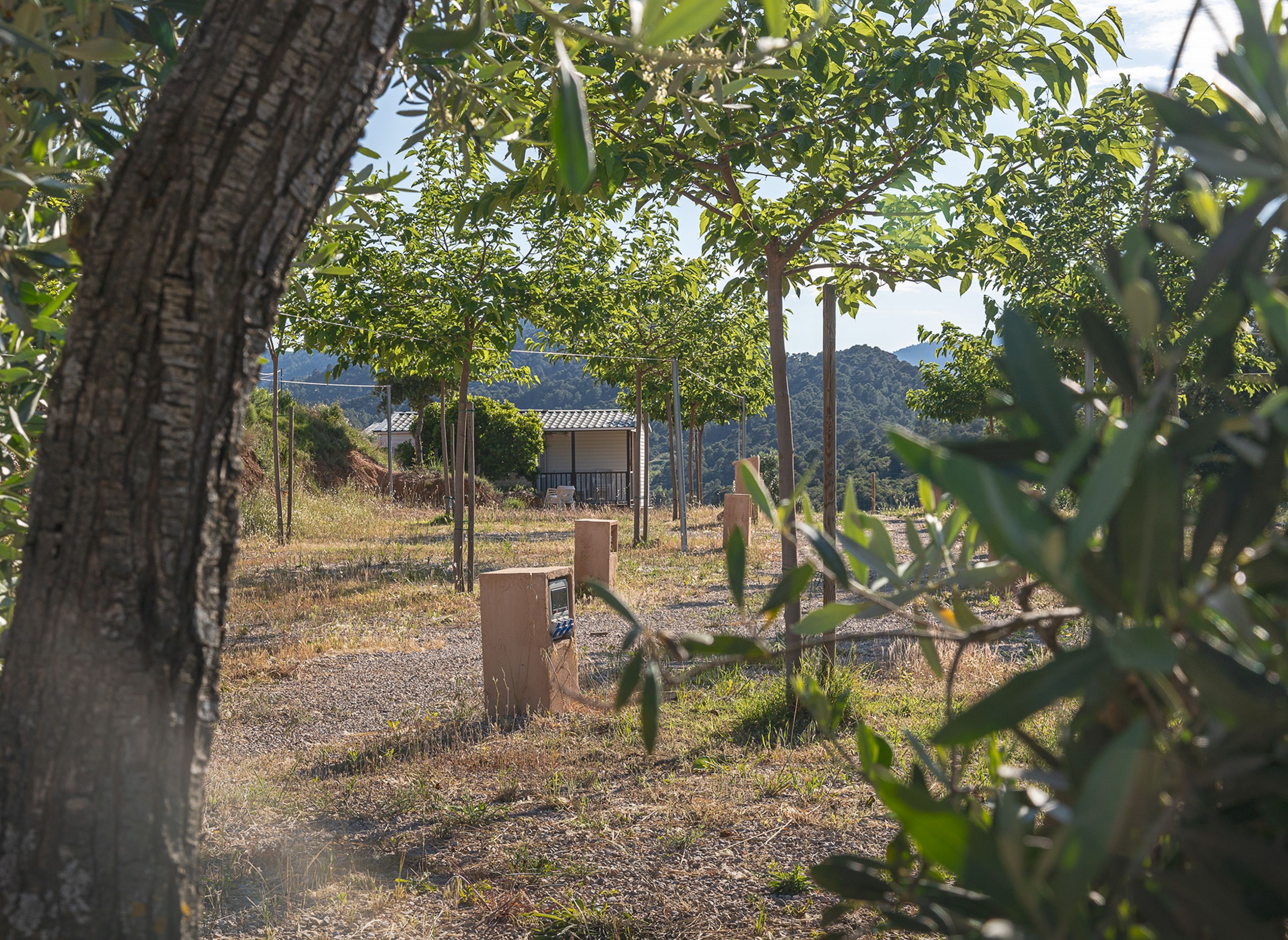 Beceite camping — Kemping in Beceite