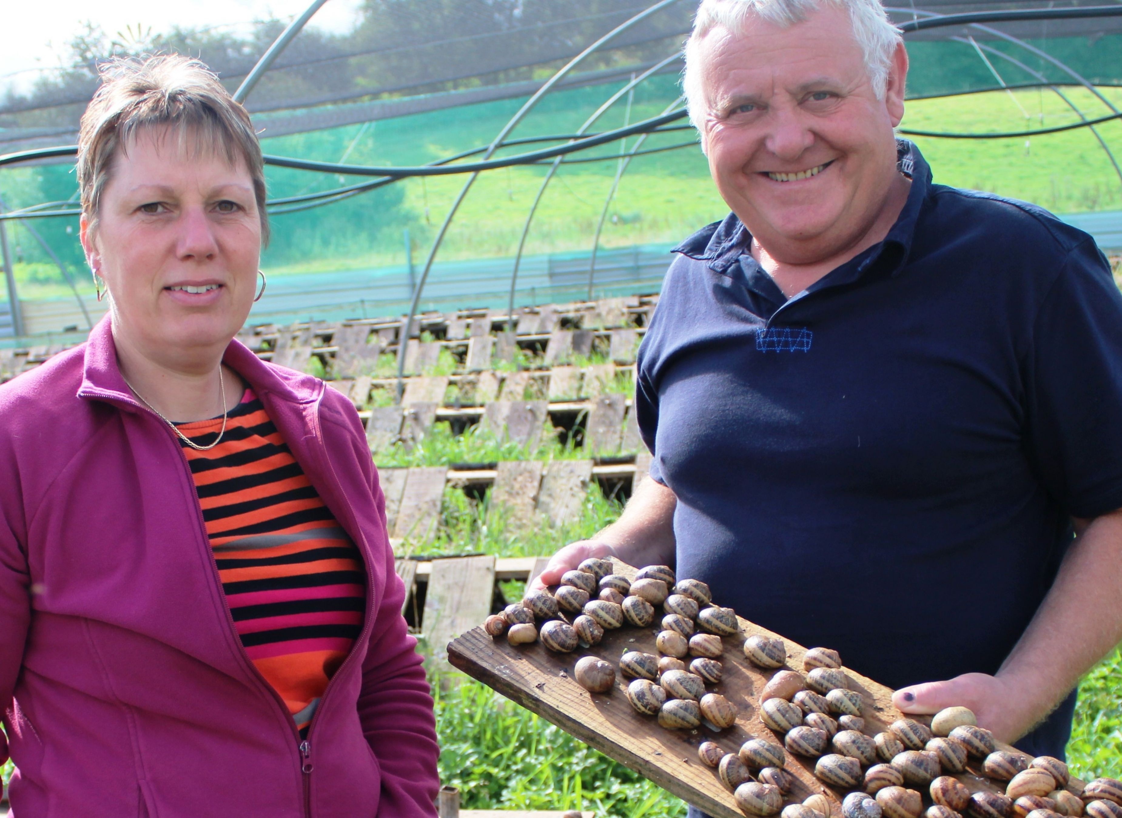 LIMERO L'escargot Mayennais — Bobilplass in Marcillé-la-Ville