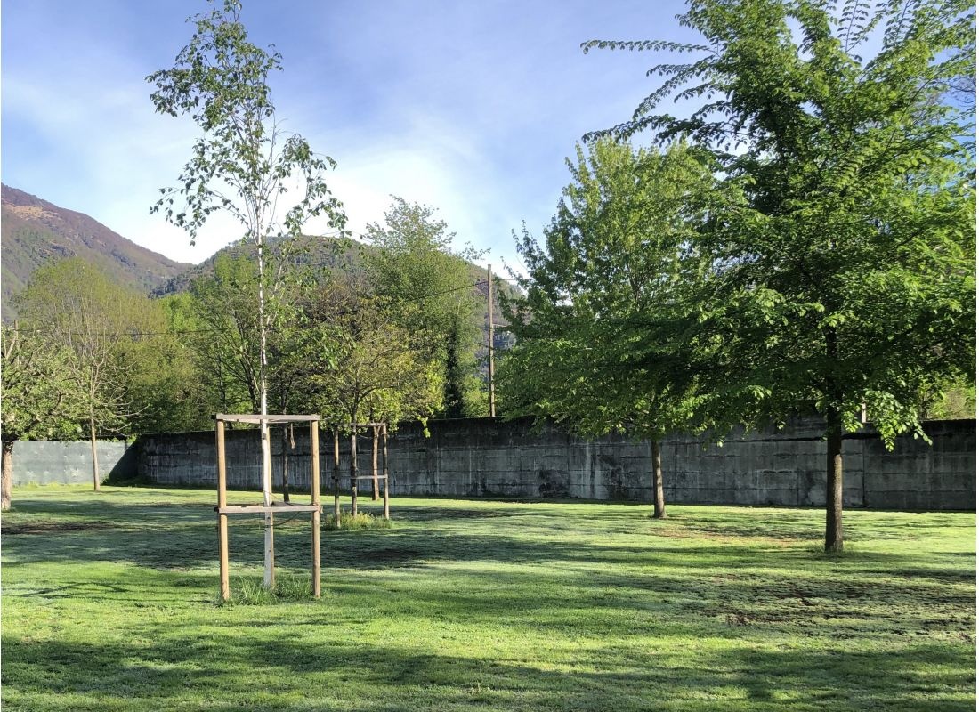 Ostello&Camping Riposo — Campingplats in Losone