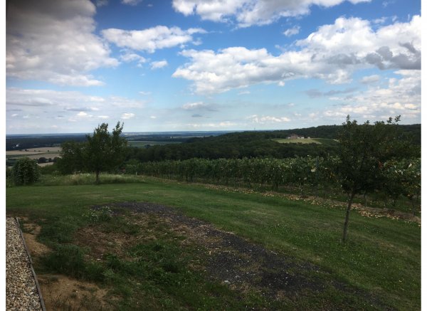 Sonnenplatz im Weingarten — Photo 4