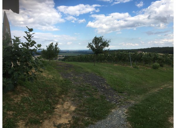 Sonnenplatz im Weingarten