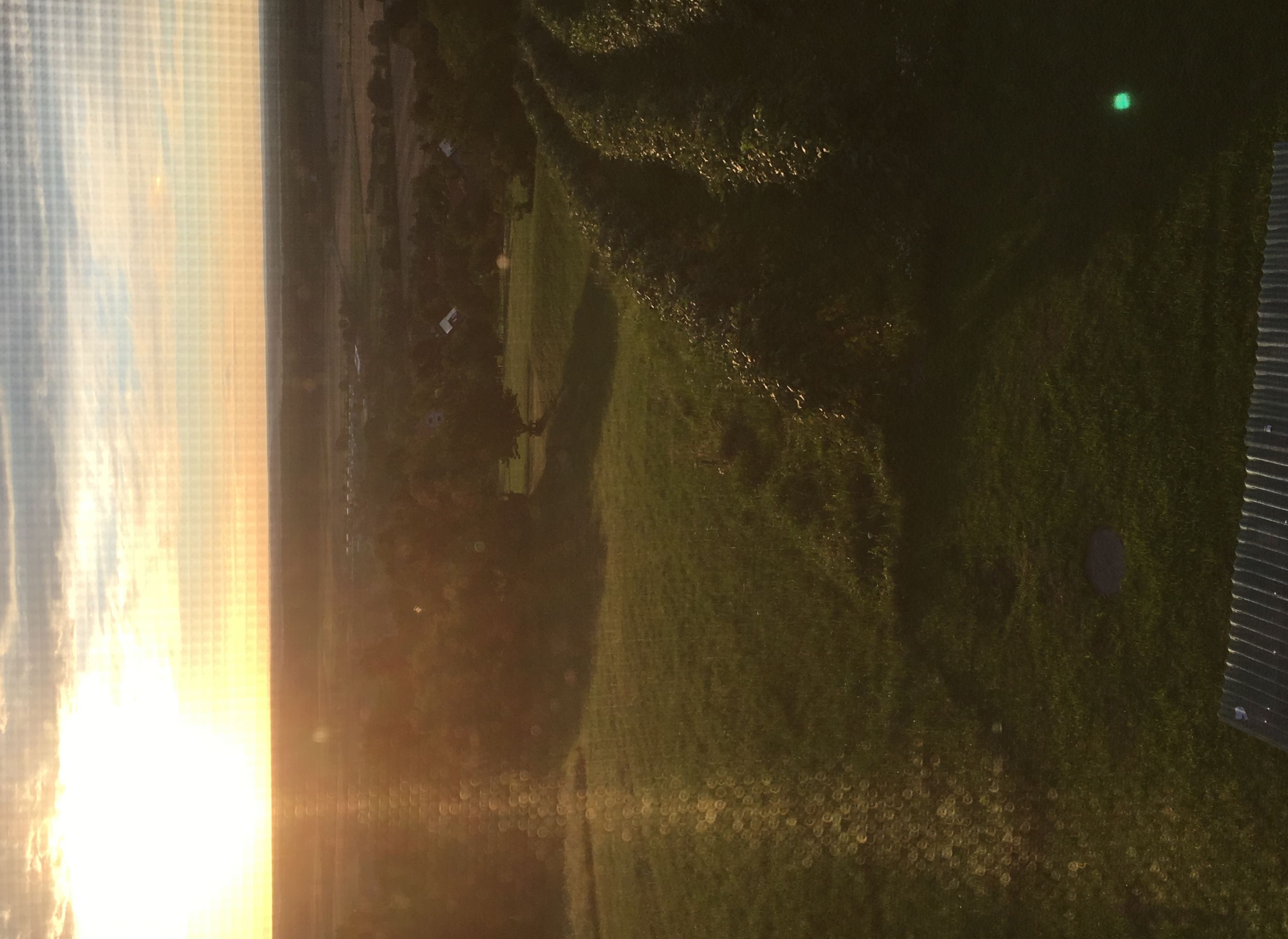 Sonnenplatz im Weingarten — Sítio para autocaravanas in Strem