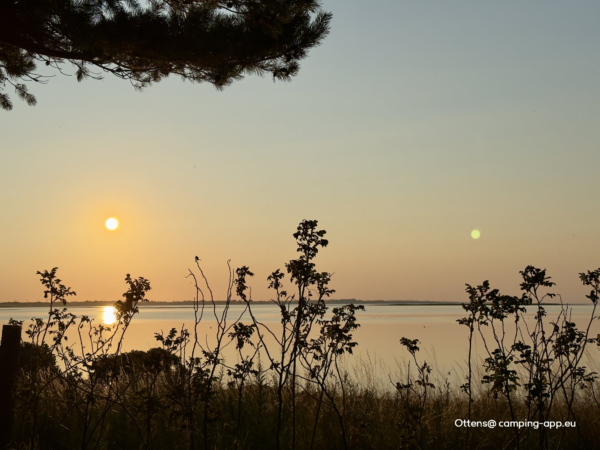 Hvalpsund Familie Camping — Photo 4