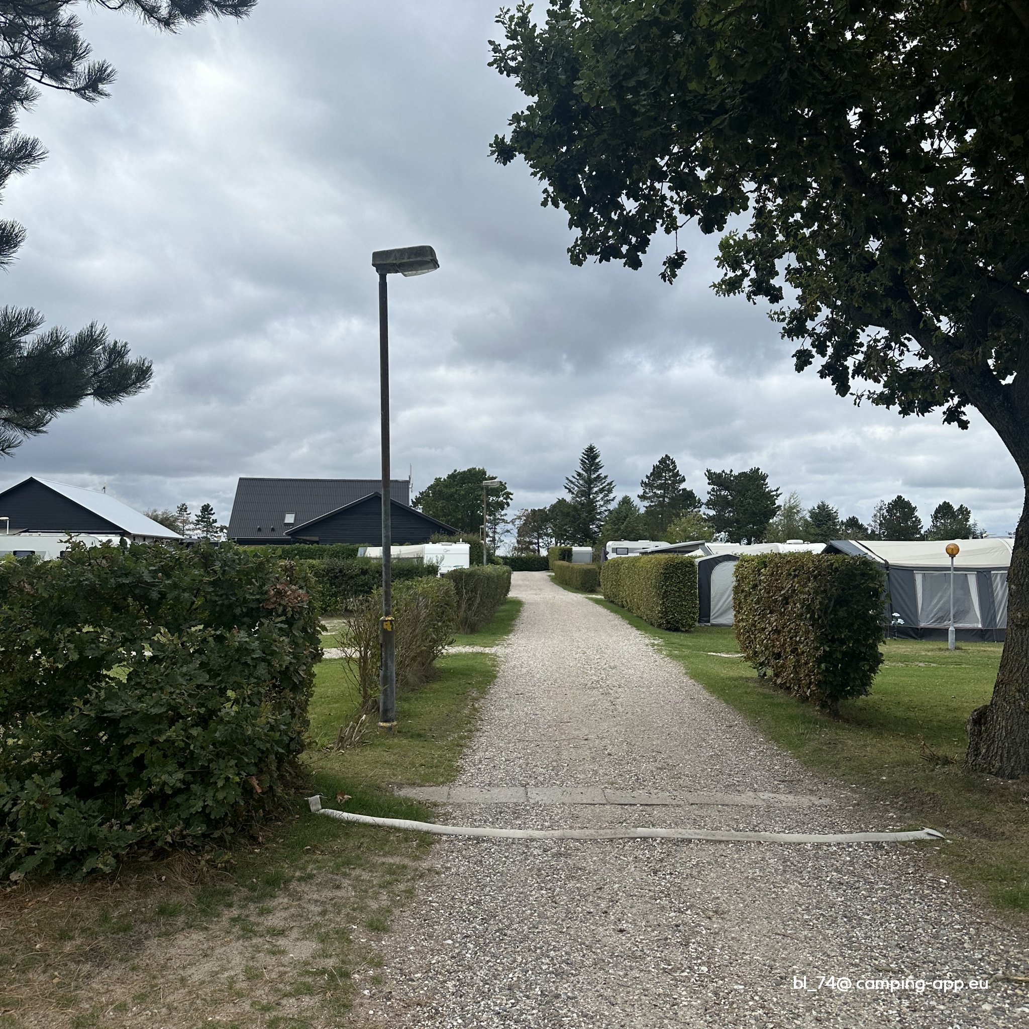 Hvalpsund Familie Camping — Zdjęcie 6