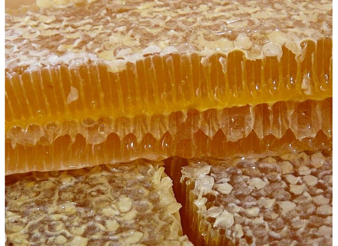 100% Nature — Camperplaats in El Serrat de l'Ametlla