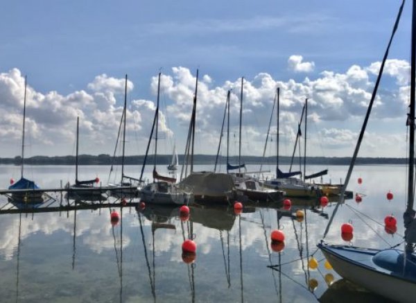Camping Godau — Zdjęcie 4