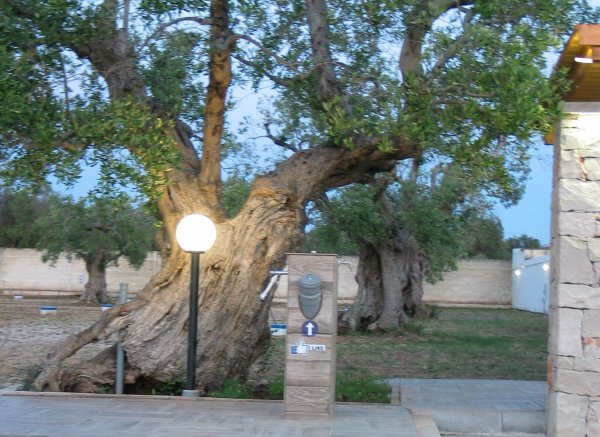 Salento sosta camper — Photo 2