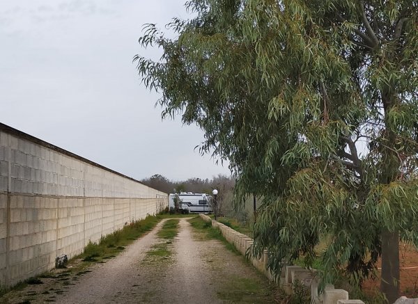 Salento sosta camper — Photo 3