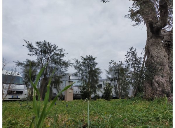 Salento sosta camper — Photo 6