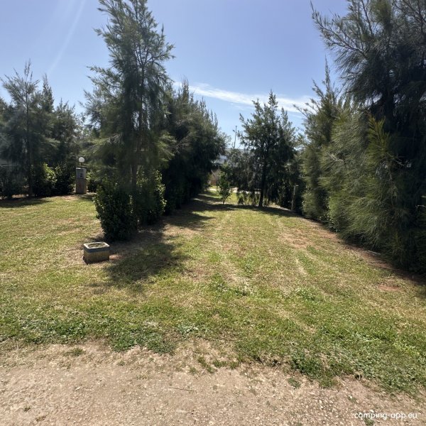 Salento sosta camper — Foto 2