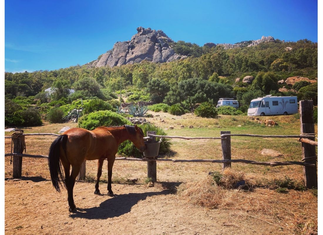 Casa Blanca Bolonia — Camperplaats in Playa de Bolonia