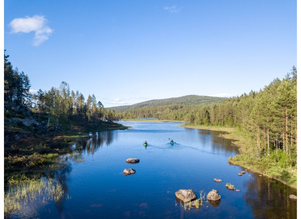 Moose hill — Photo 2