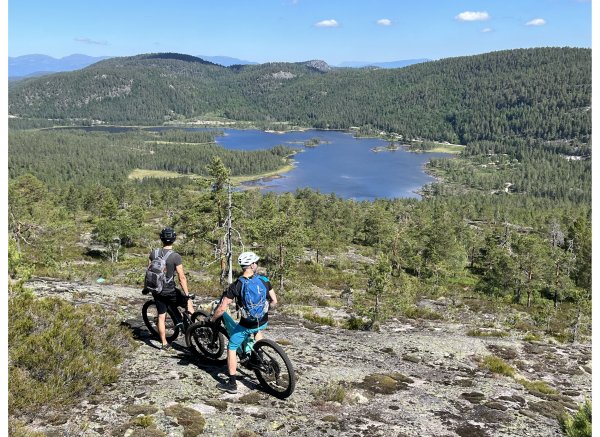 Moose hill — Photo 3