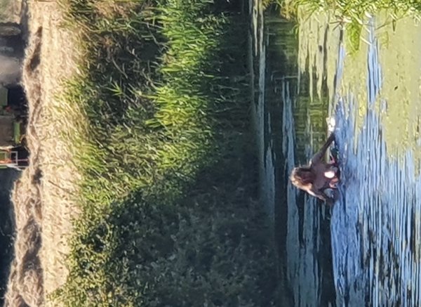 Watersmeetfarmcamping — Photo 2