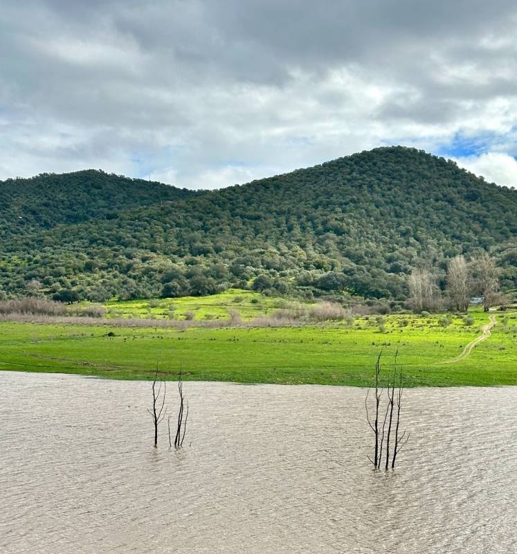 Camping La Puebla — Bobilplass in La Puebla de los Infantes