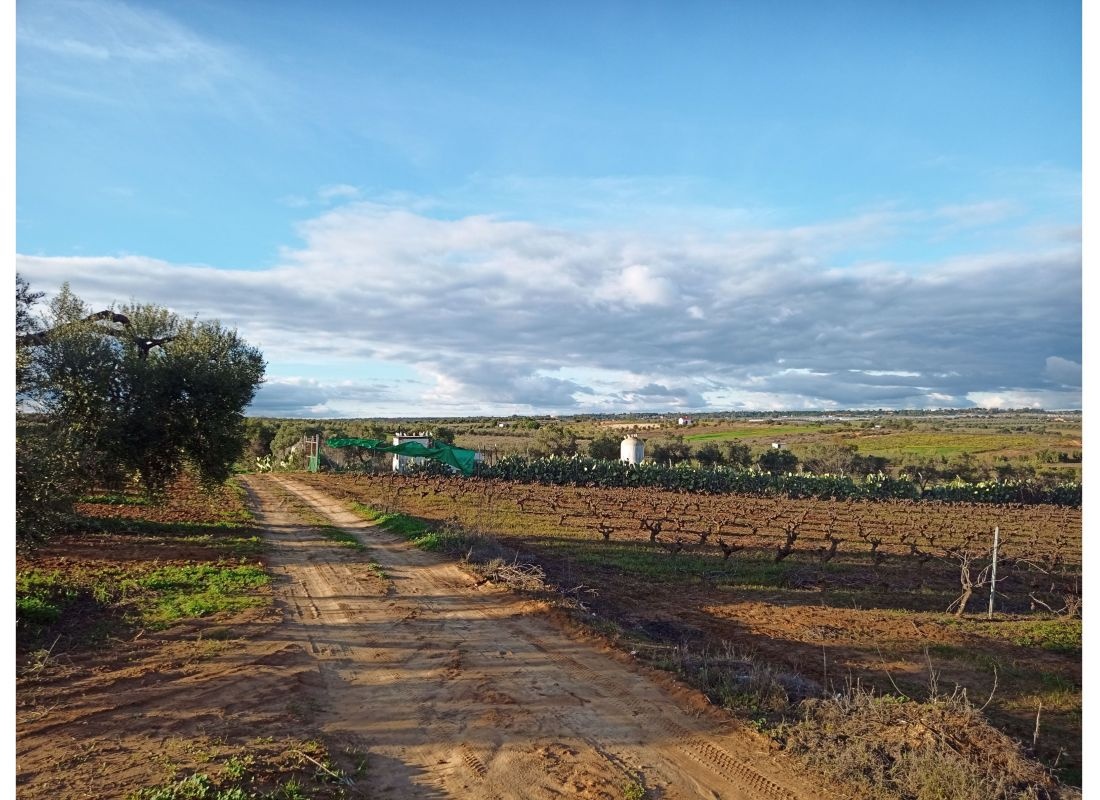 ProjectOffRoad — Sítio para autocaravanas in Bollullos Par del Condado