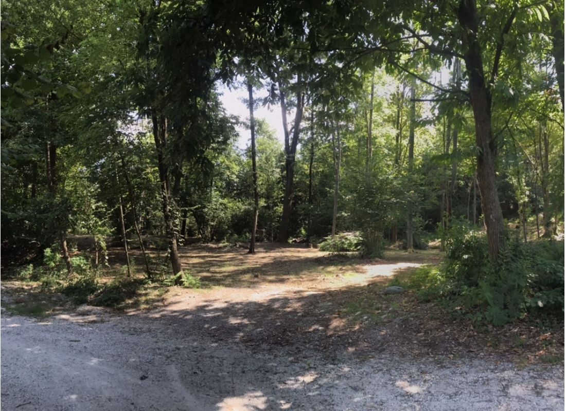 Campeggio Selvaggio nel Bosco — Bobilplass in Brissago-Valtravaglia