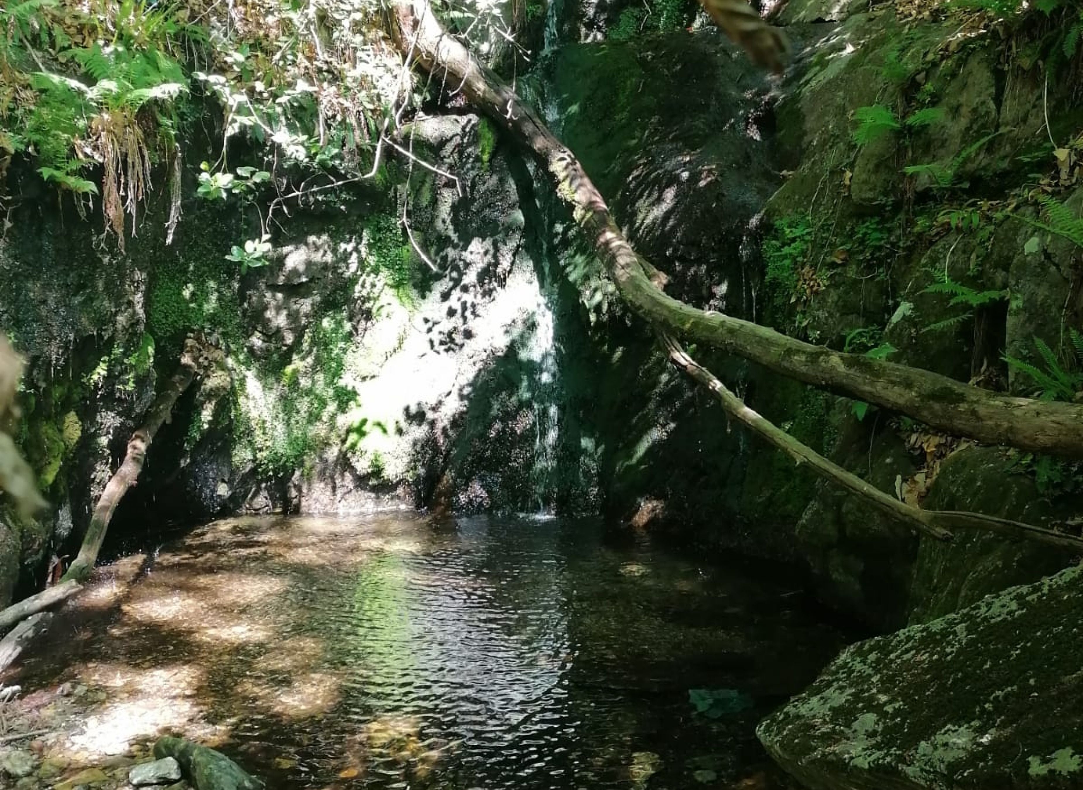 Campeggio Selvaggio nel Bosco — Bobilplass in Brissago-Valtravaglia
