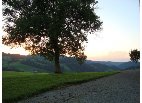 Egg Hemberg — Photo 2