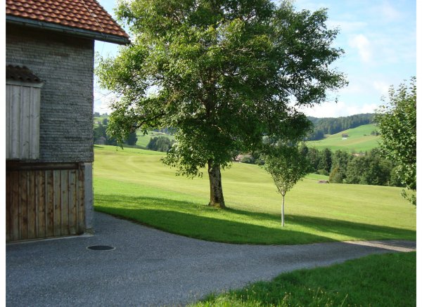 Egg Hemberg — Photo 3