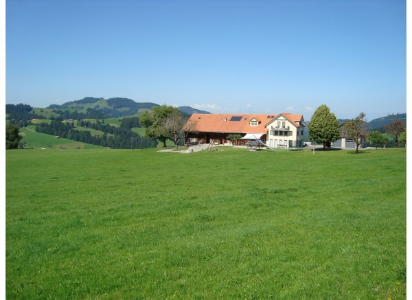 Egg Hemberg — Photo 5