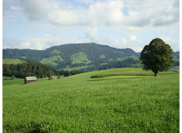 Egg Hemberg — Photo 6