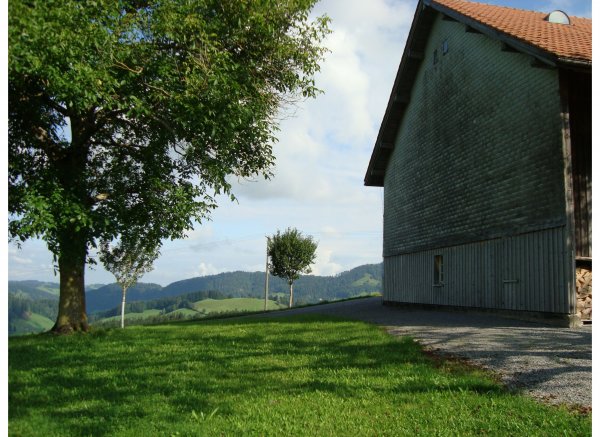 Egg Hemberg — Foto 3
