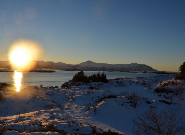 Lysø naturcamping + rorbuer — Photo 5