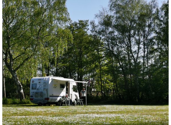 Frederiksværk Camping — Foto 5
