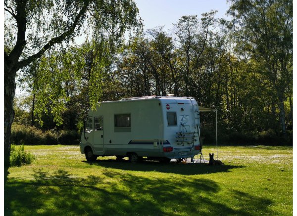 Frederiksværk Camping — Photo 3