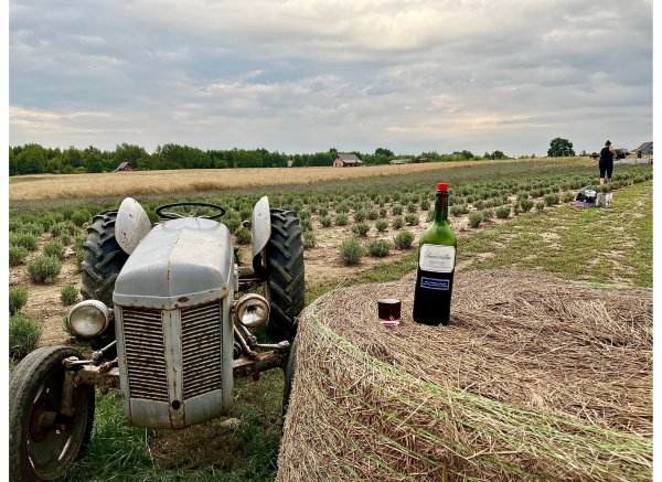 CamperPark — Photo 2