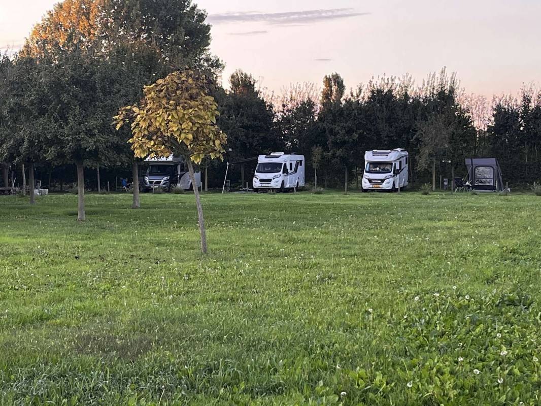 AgriCamp SAN PIO X 1708 — Sítio de acampamento in Albignasego