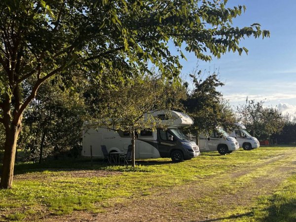 AgriCamp SAN PIO X 1708 — Foto 6