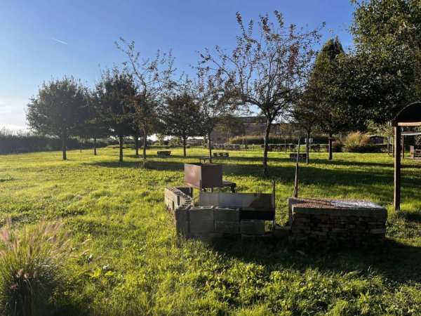 AgriCamp SAN PIO X 1708 — Foto 2
