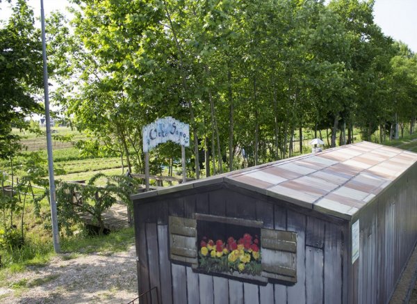 AgriCamp SAN PIO X 1708 — Photo 6