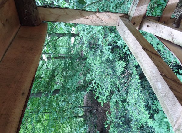 Camping Zwaluwenhof — Photo 3