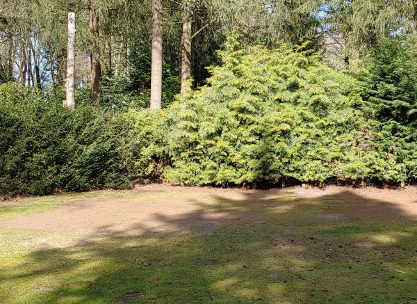 Camping Zwaluwenhof — Photo 4