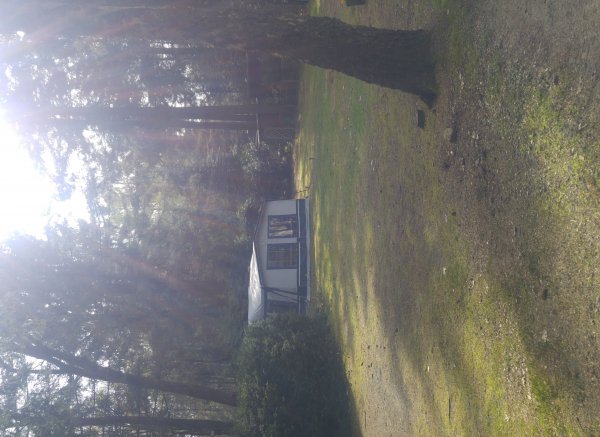 Camping Zwaluwenhof — Photo 6