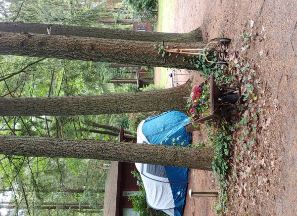 Camping Zwaluwenhof — Zdjęcie 4