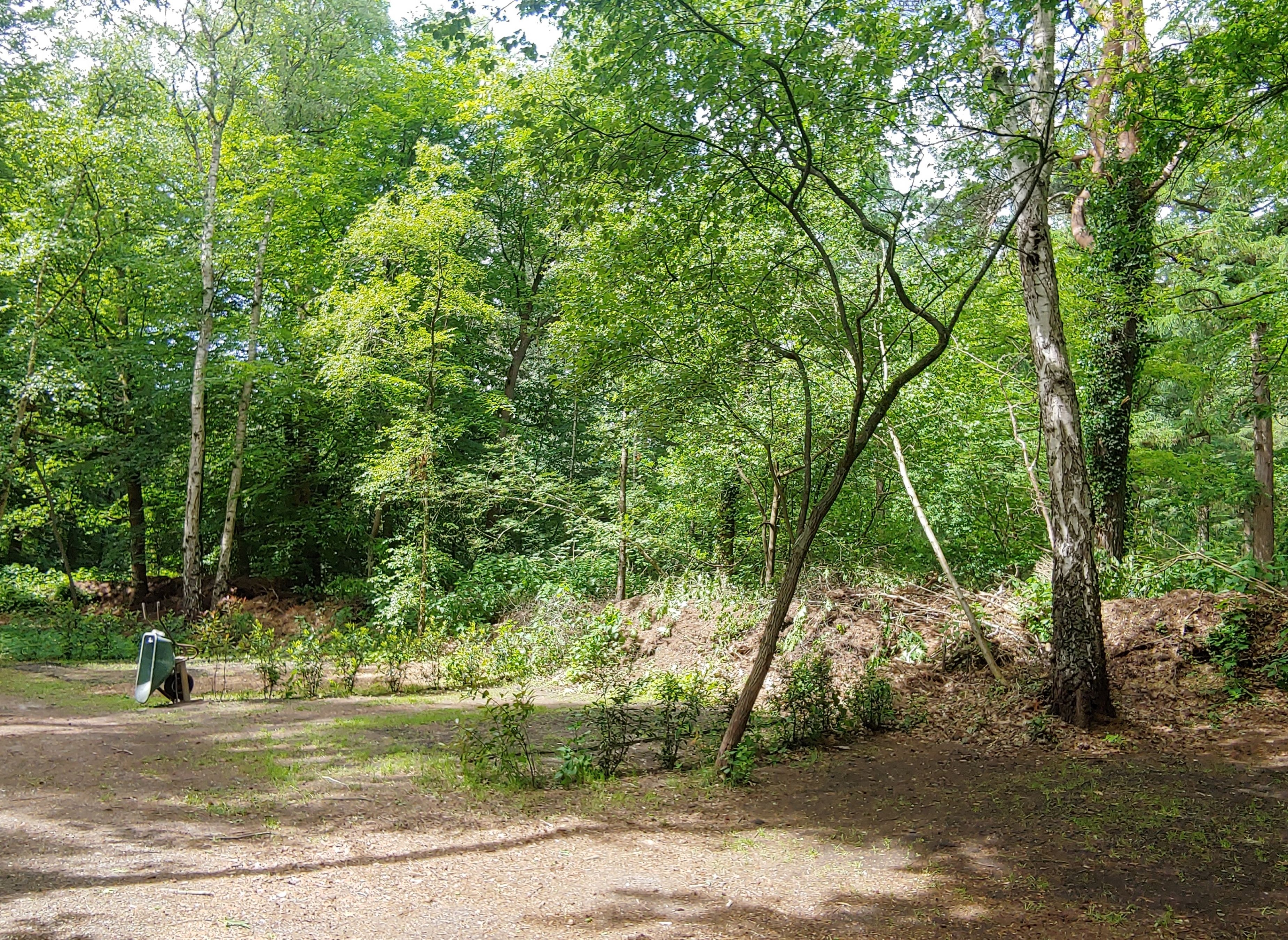 Camping Zwaluwenhof — Kemping in Hulshorst