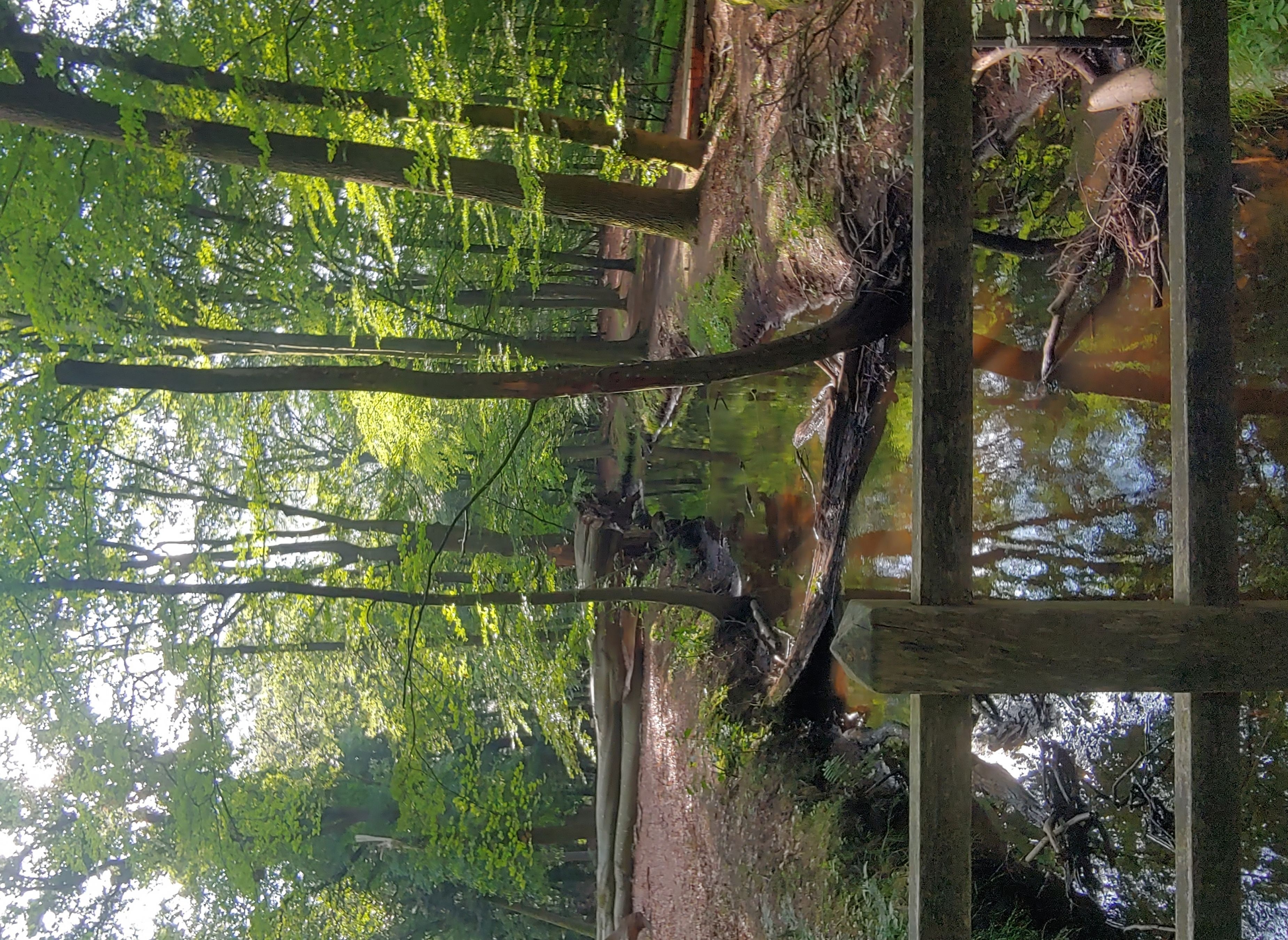 Camping Zwaluwenhof — Kemping in Hulshorst
