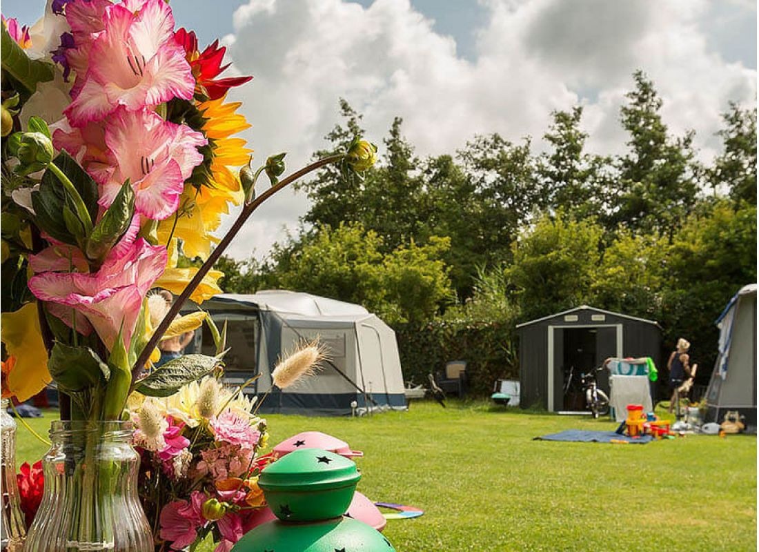 Aan de Waterspiegel — Місце для кемпінгу in Aagtekerke
