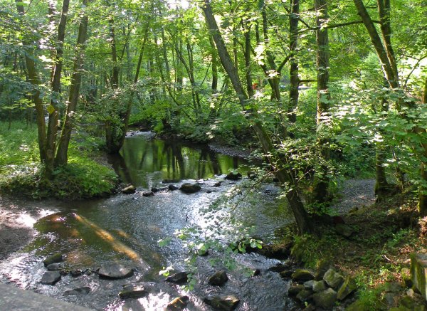 Thalmühle Ferienwohnen — Photo 2