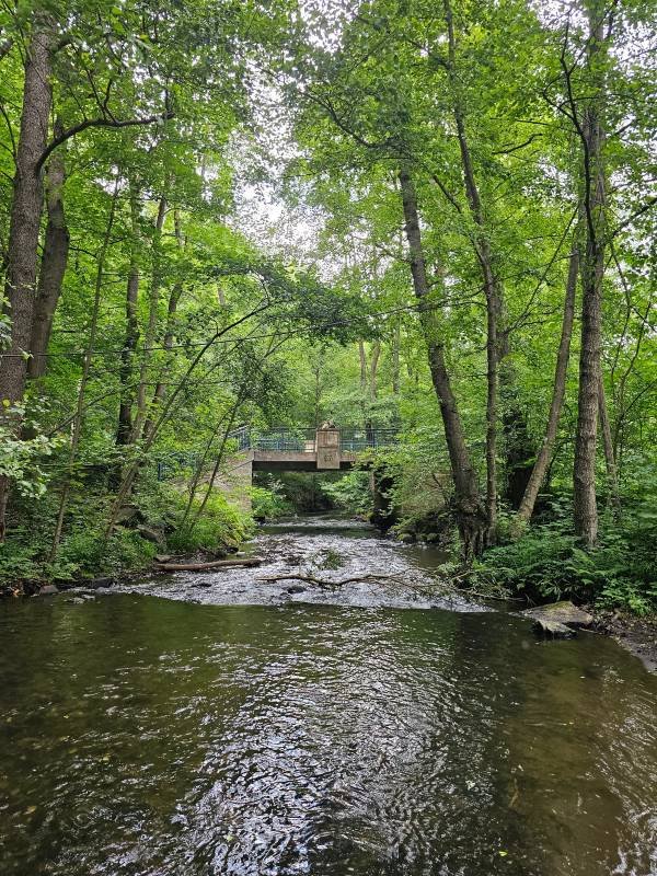 Thalmühle Ferienwohnen — Photo 4