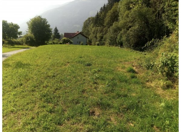 Am Haindlbach — Foto 5